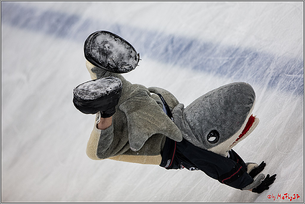 DEL, Koelner Haie - Iserlohn Roosters, 28.12.2016